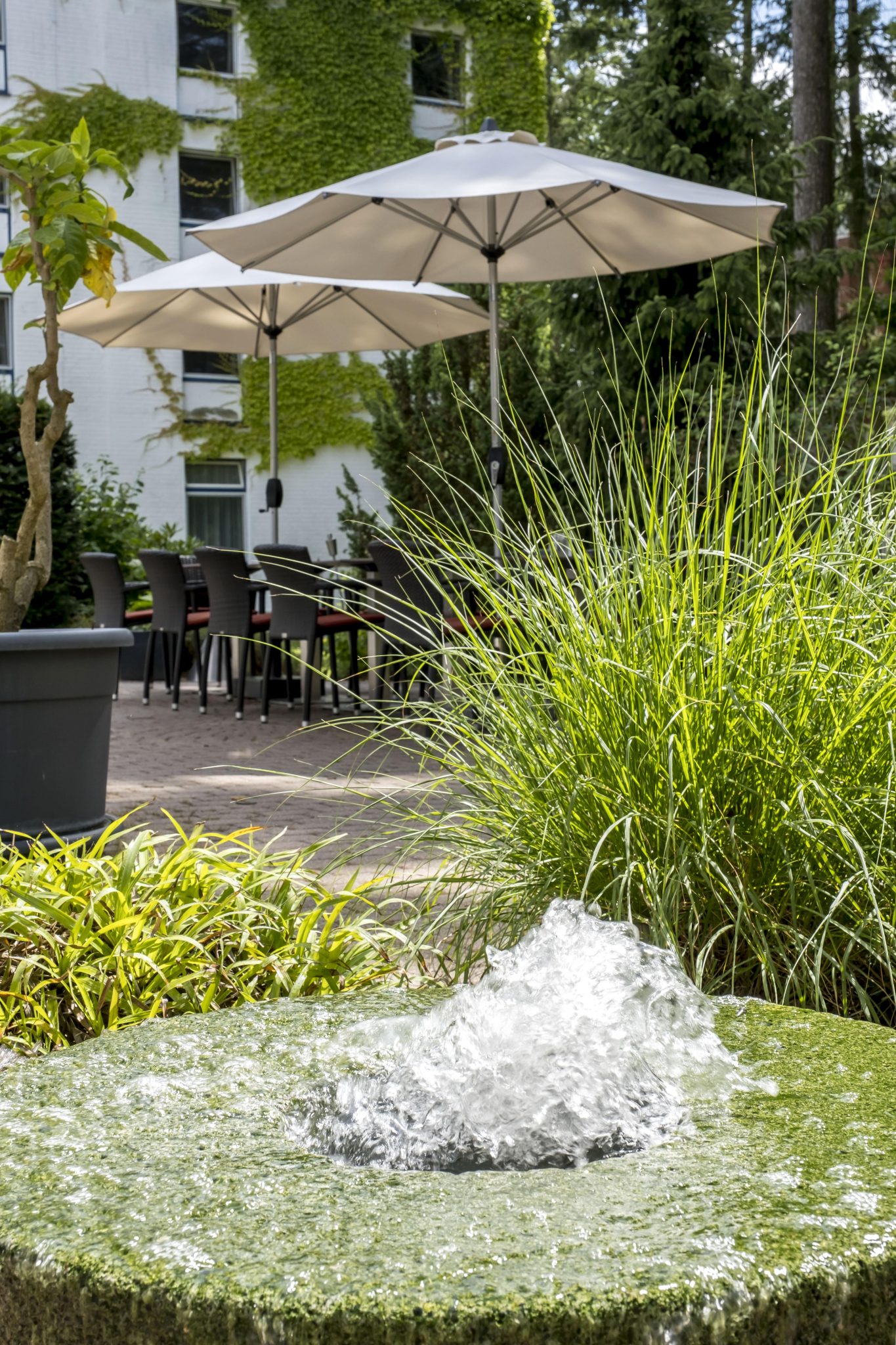 Aussenterrasse_DSF5026