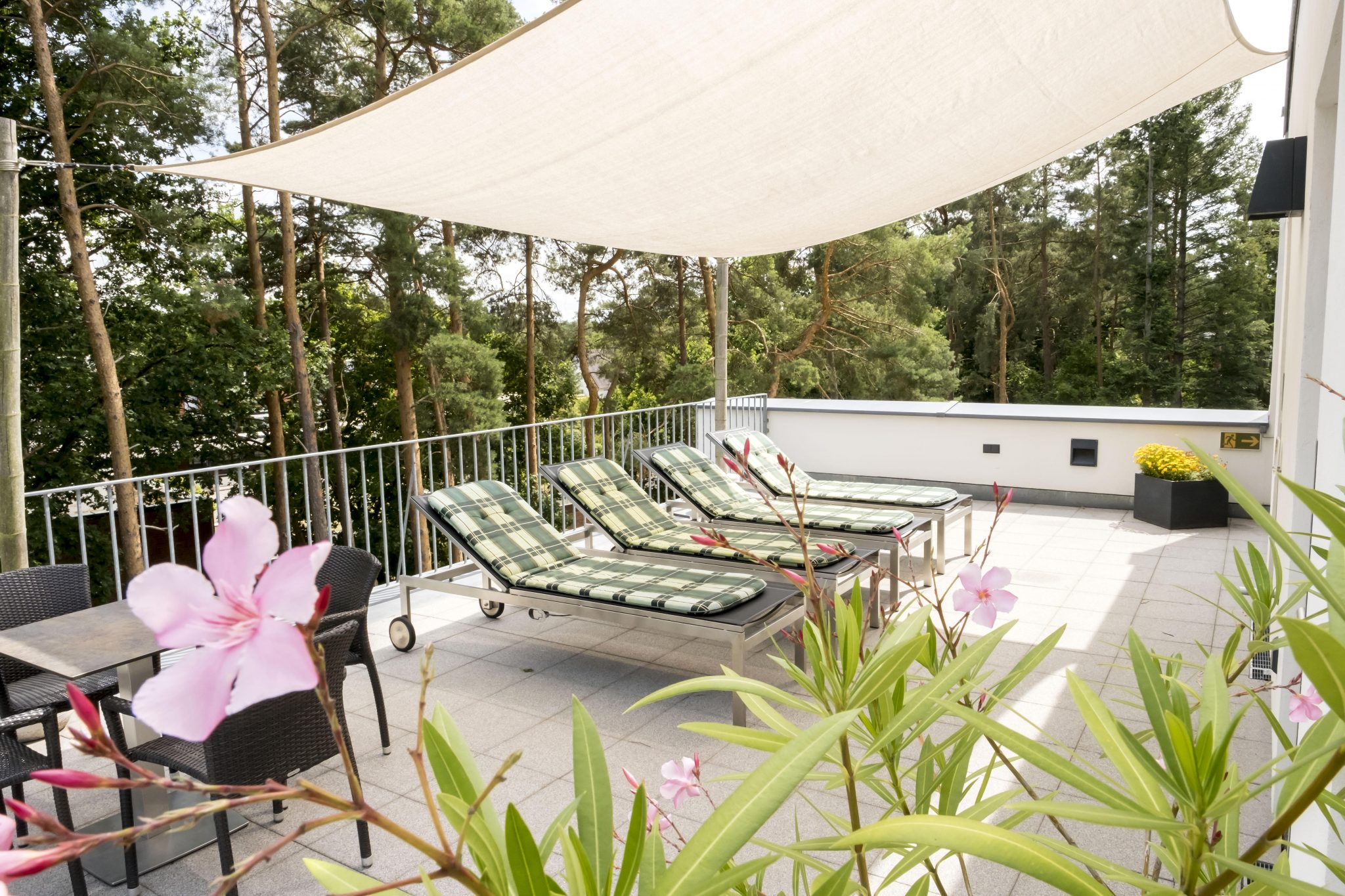 Dachterrasse_DSF5215