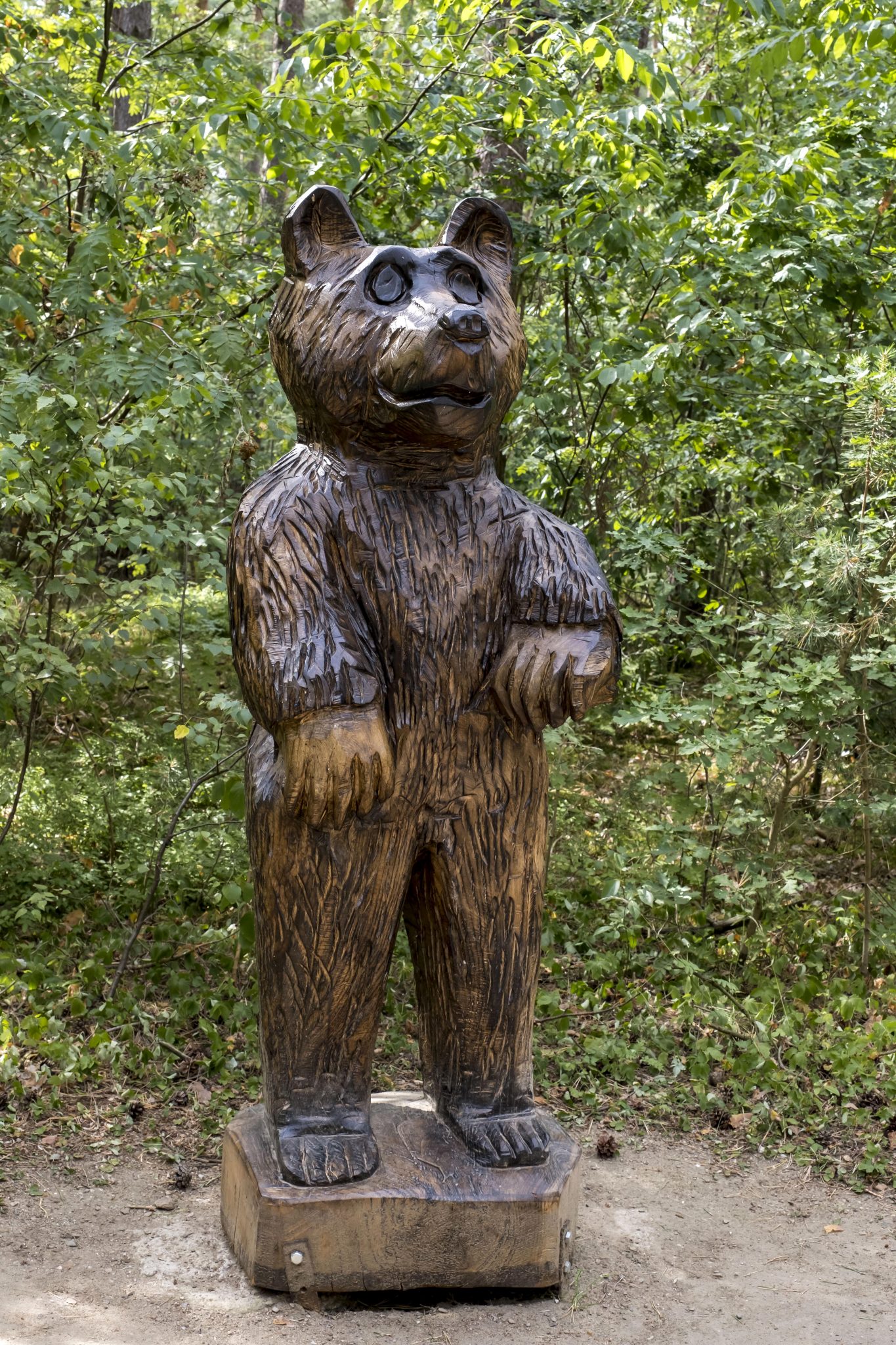 Impressionen Wald_DSF5374