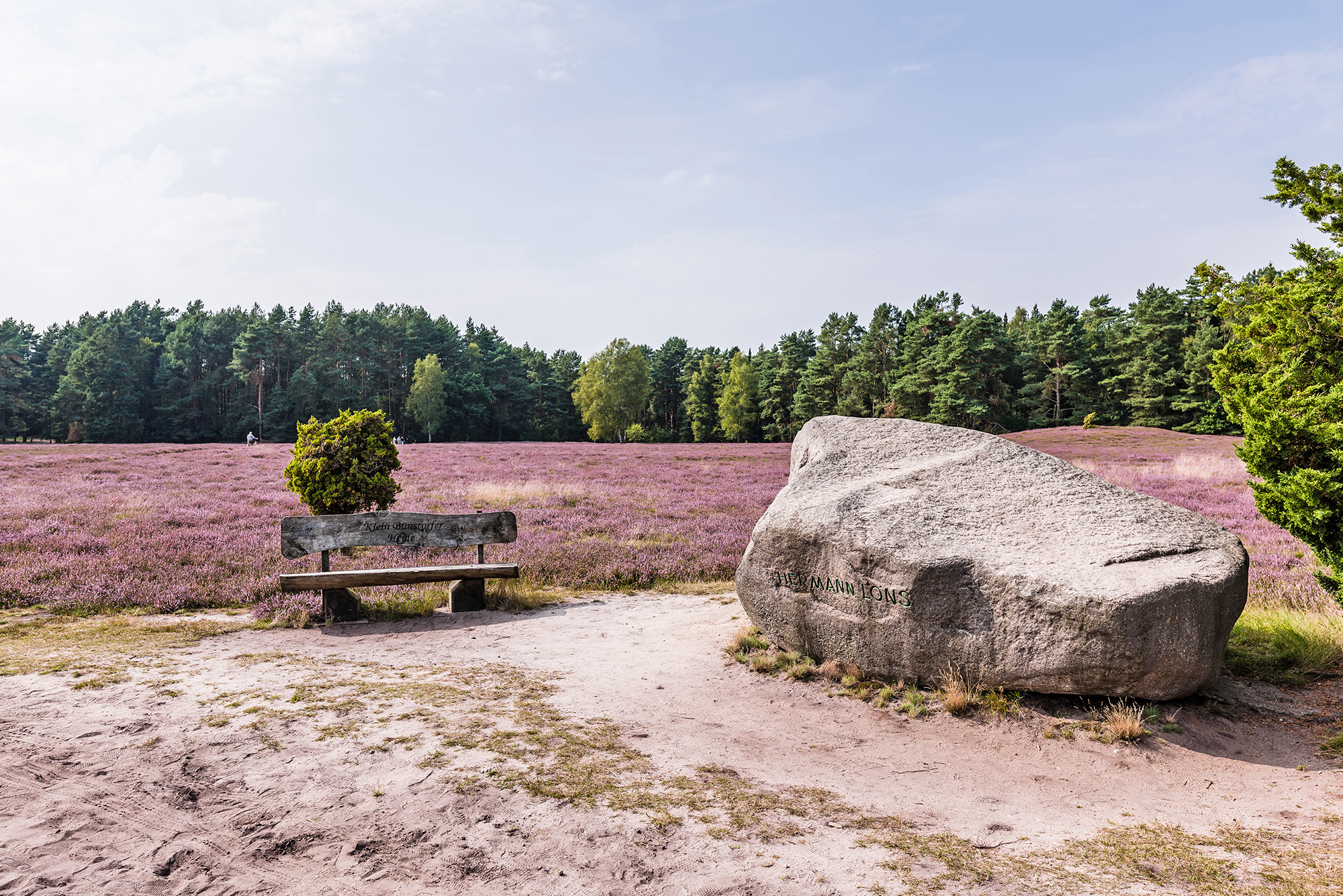 Planwagenfahrt durch die blühende Klein Bünstorfer Heide